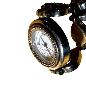 Brighton Geneo Quartz Ladies Wristwatch - Japanese Movement  Brighton Geneo Quartz Ladies Watch Japan Movement New Battery main image 1